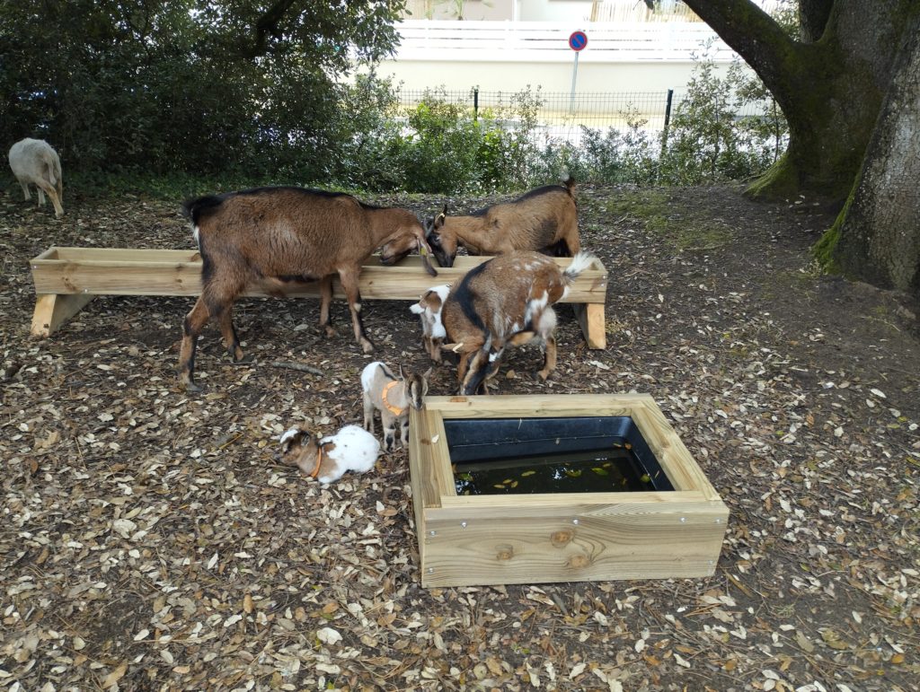 2025-04-30-ferme-animaux-vacances-nature-loire-atlantique